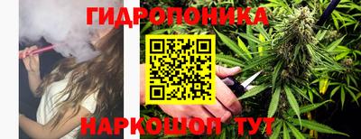 apvp Балашиха