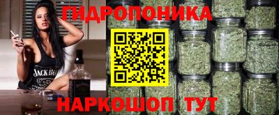 apvp Балашиха