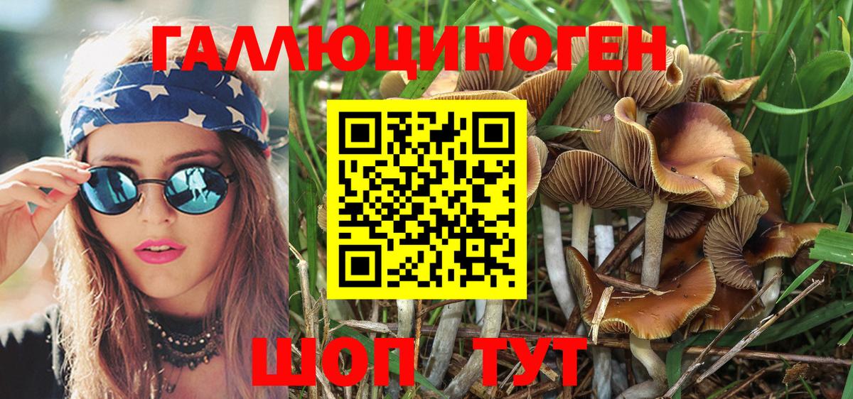 Галлюциногенные грибы мухоморы Бийск