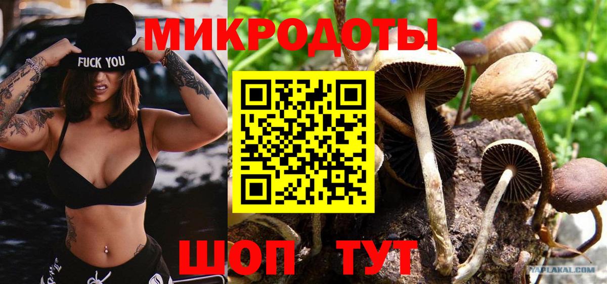 Псилоцибиновые грибы Psilocybine cubensis Бийск