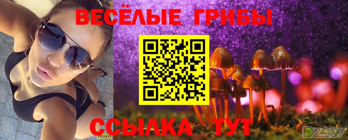 Бийск  Псилоцибиновые грибы ЛСД  Псилоцибиновые грибы Psilocybe  Вход с VPN 